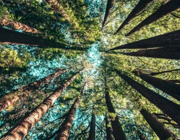 Optimizing Critical Network Paths with HTML Resource Hints