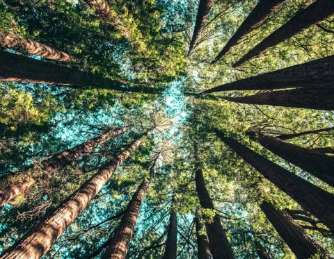 Solving Subarray Problems with the Sliding Window Pattern in JavaScript